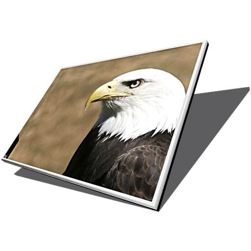 430458-001 Hp Lcd 14.1-Inch (Raw) Glass Only Wxga Tft Bright View (Bv) Display Panel - Grade A